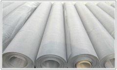 Stainless Steel Wire Mesh